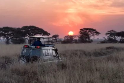 Bei Tansania Reisen auf Safari gehen