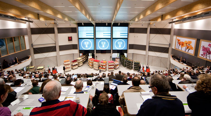 Praktijkcase-Plantion