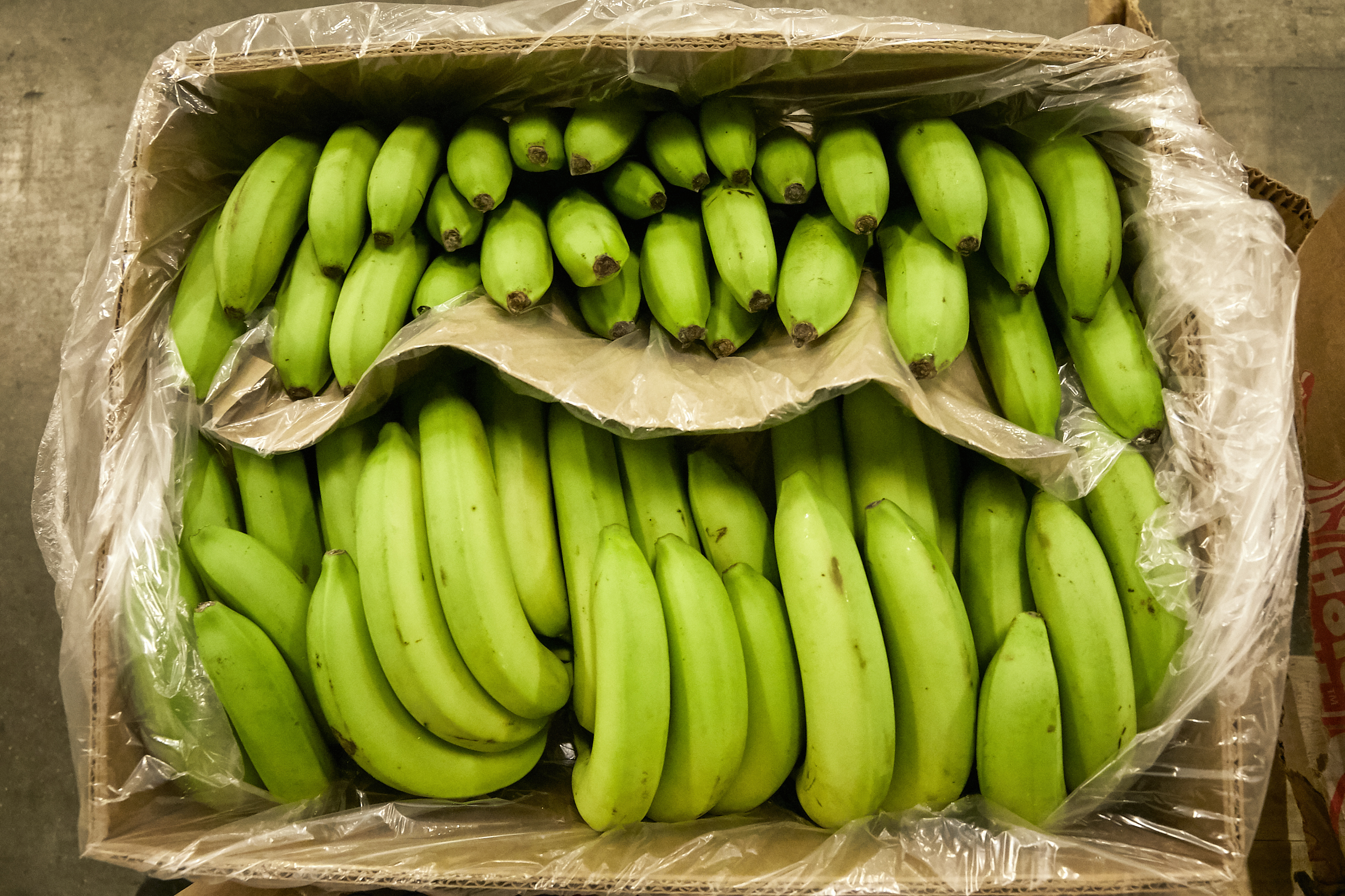 voedingsindustrie koelruimtes