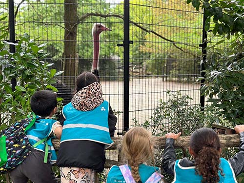 Kinderen in Blijdorp tijdens BSO Vakantieland. 